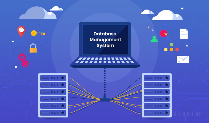 What is Database Management